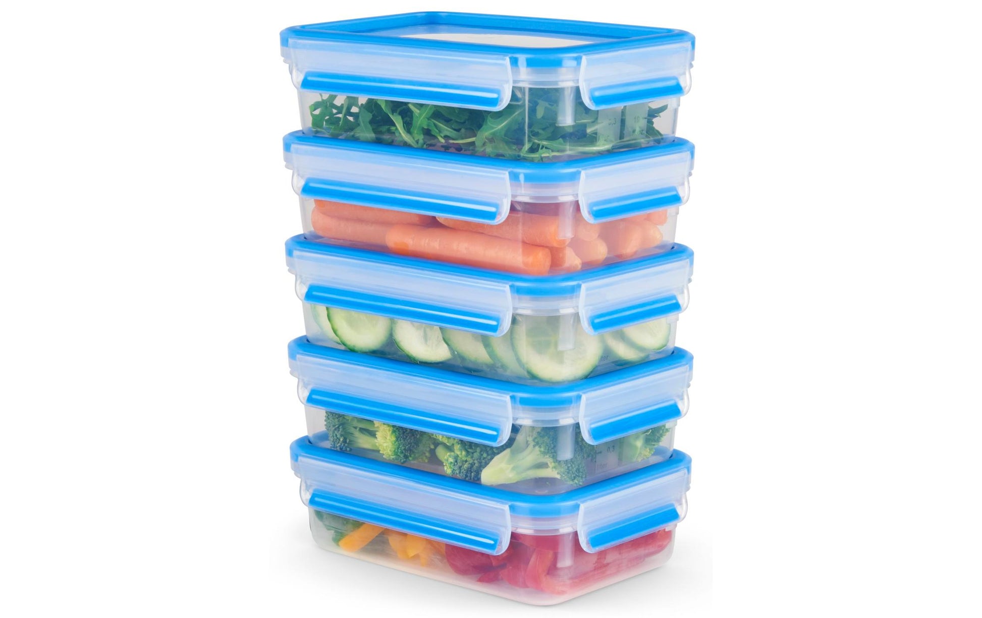 EMSA Vorratsdose 800 ml, 19,7 × 13,6 × 5,9 cm, Polypropylen (PP)/TPE, leckdicht, 5er Set, transparent/blau