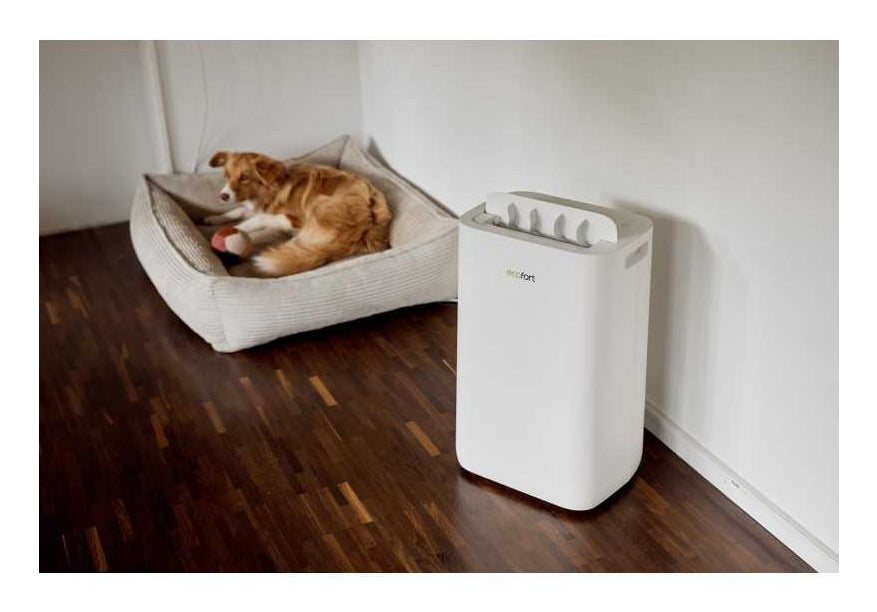 Ecofort Luftentfeuchter ecoQ 20L – 20 L/24 h, bis 50 m², Tank 4,5 l, Hygrostat, WLAN, App-Steuerung