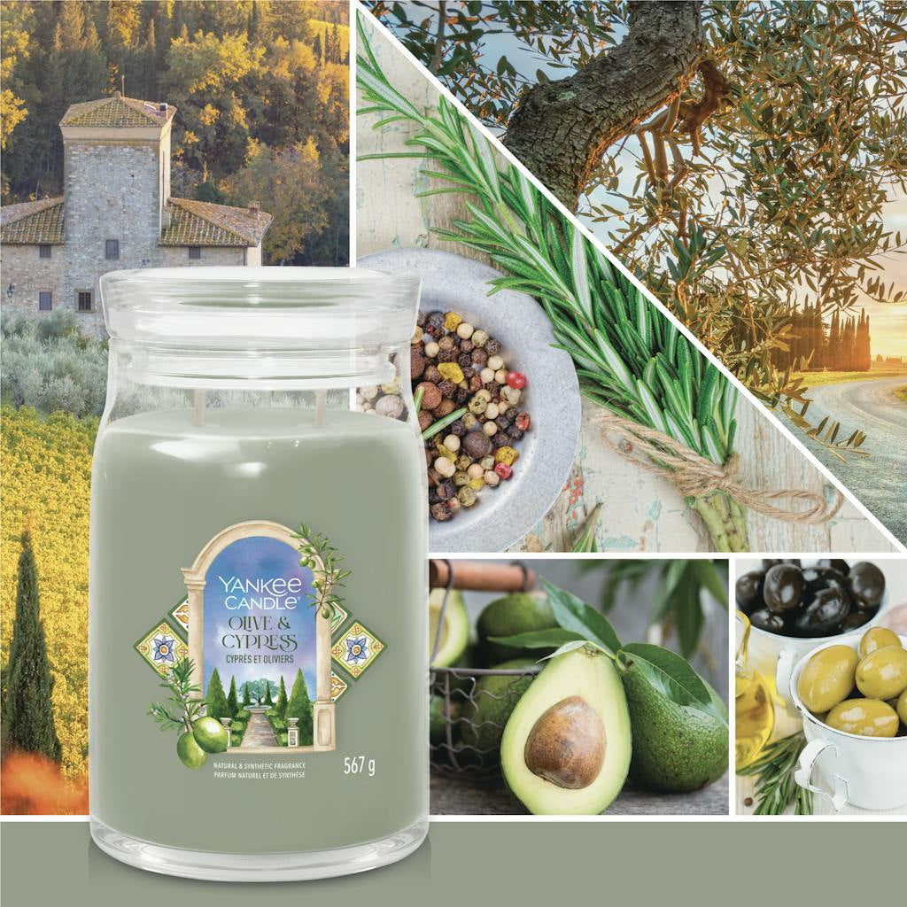 Yankee Candle Olive & Cypress – Duftkerze, Grosses Glas, 60–90 h