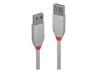 Lindy USB-Kabel, USB-A zu USB-A, 1 m, USB 2.0