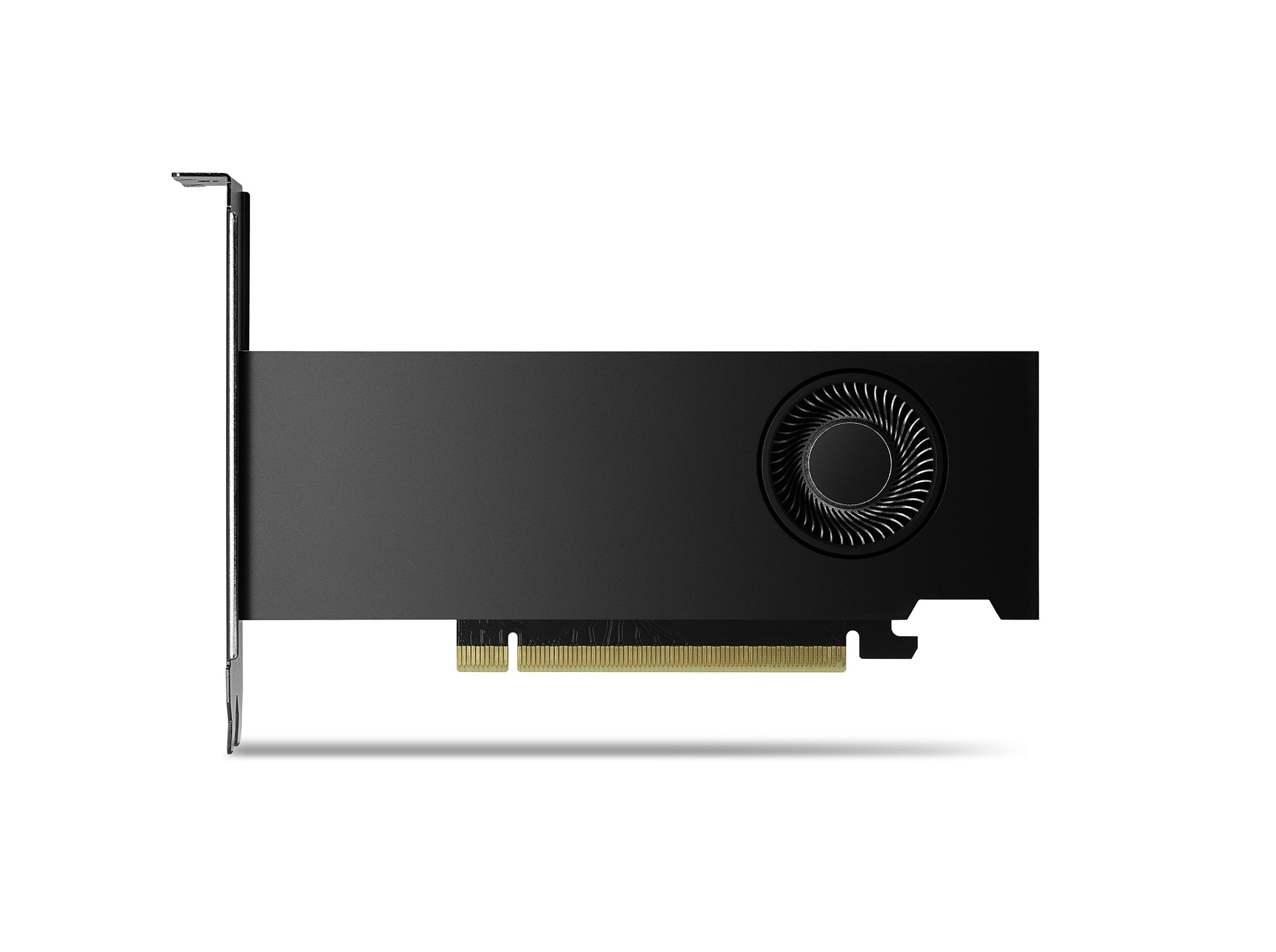 PNY RTX 2000 Ada – PCIe Grafikkarte – 16 GB GDDR6, 4×mDP, PCIe x8 4.0, 70 W