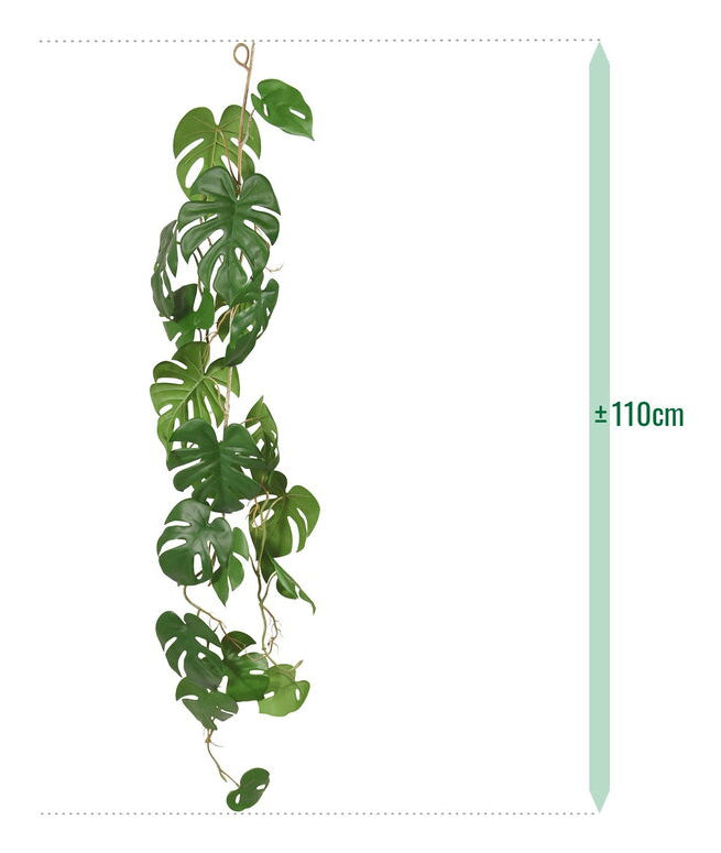 Botanic-Haus Monstera Girlande – Ø 200 × 110 cm – Kunststoff, Grün – 12er-Pack