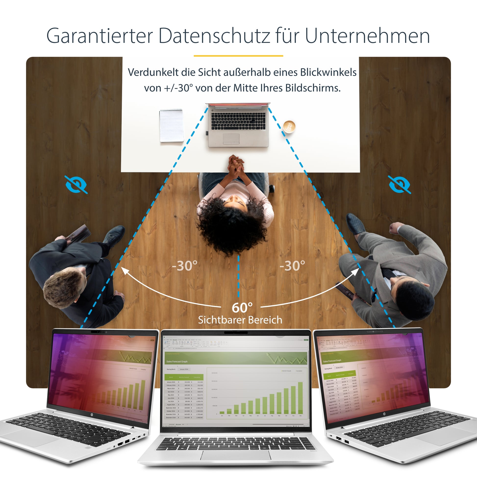 StarTech.com Displayschutz für 15,6" Laptop – Gold
