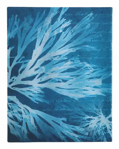 Paperblanks Notizbuch, 175 × 225 mm, liniert, gebunden, Hardcover, 80 Seiten – Meer-Motiv, grünblau
