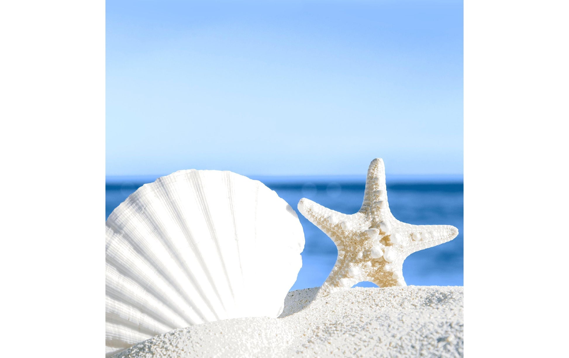 Paper + Design Servietten Shells – mehrfarbig – 33 × 33 cm, 3-lagig – 20 Stück