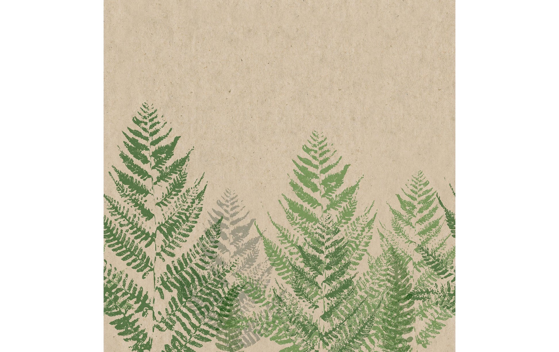 Paper + Design Servietten Farn – 33 × 33 cm, 3-lagig – 20 Stück