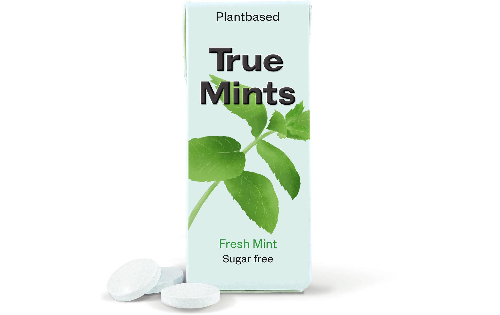 True Gum True Mints Frische Minze, zuckerfrei, vegan – 13 g