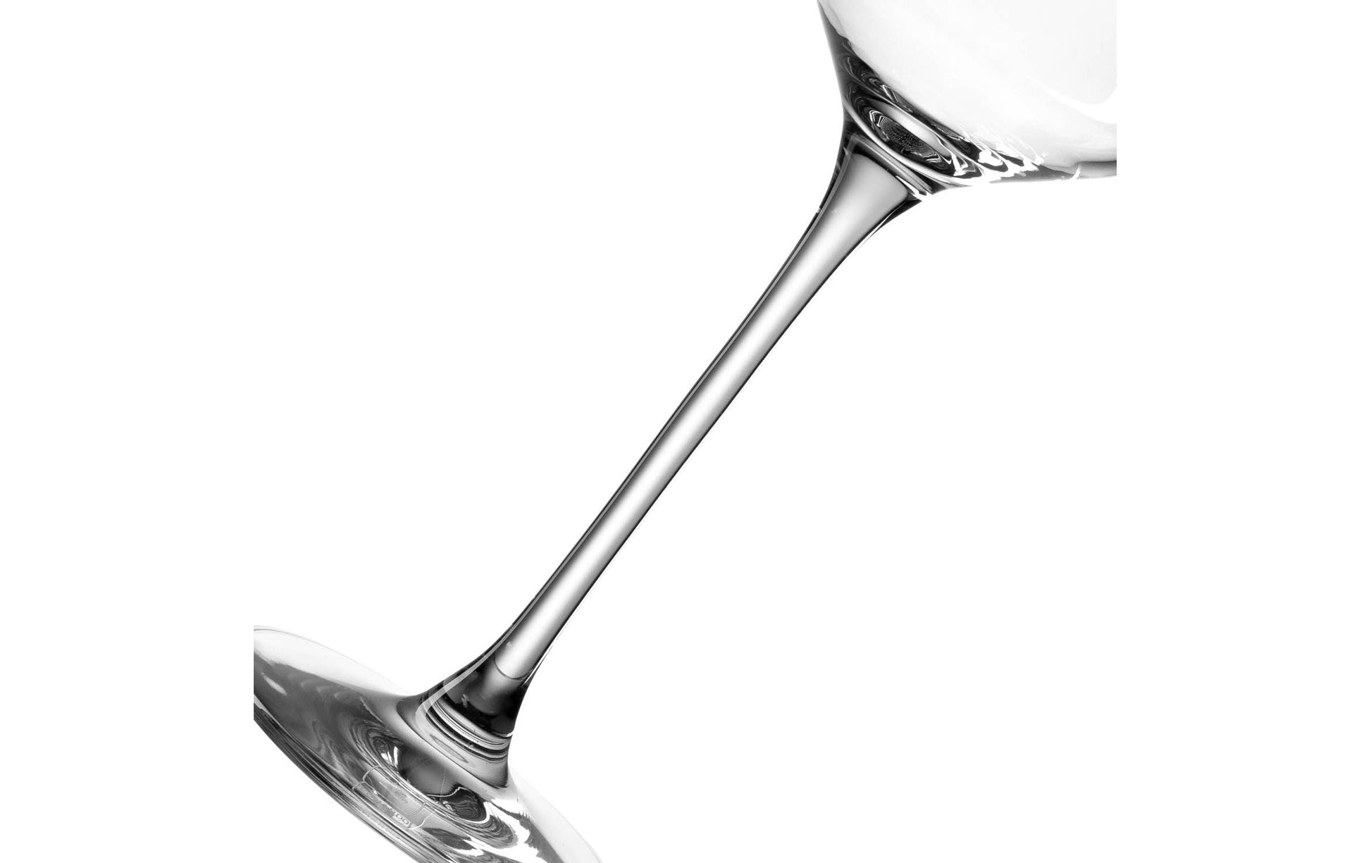 LEONARDO Puccini Sektglas – 6er Set, 280 ml, Ø 5 cm, H 26 cm, Kristallglas, Transparent, spülmaschinenfest