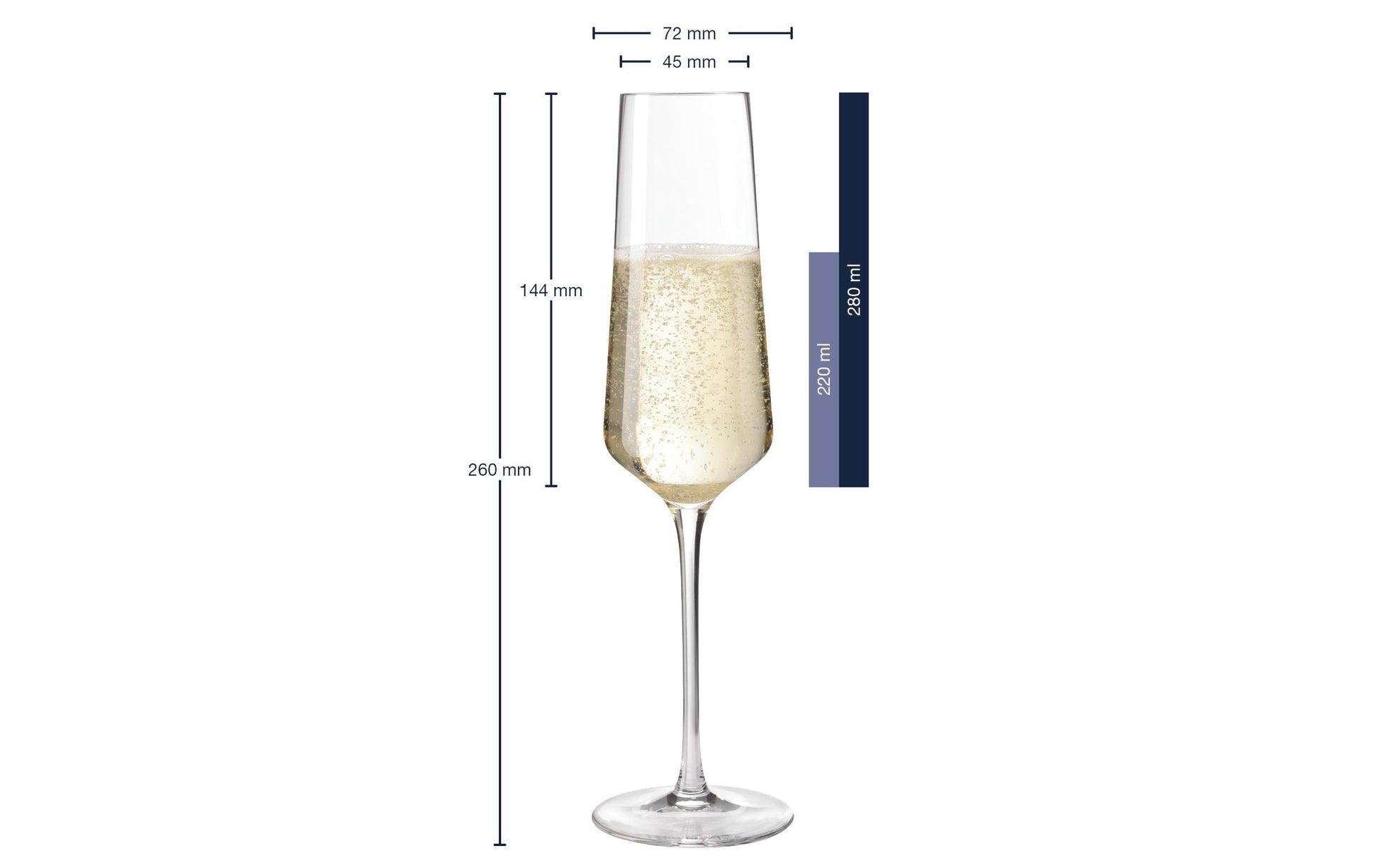 LEONARDO Puccini Sektglas – 6er Set, 280 ml, Ø 5 cm, H 26 cm, Kristallglas, Transparent, spülmaschinenfest