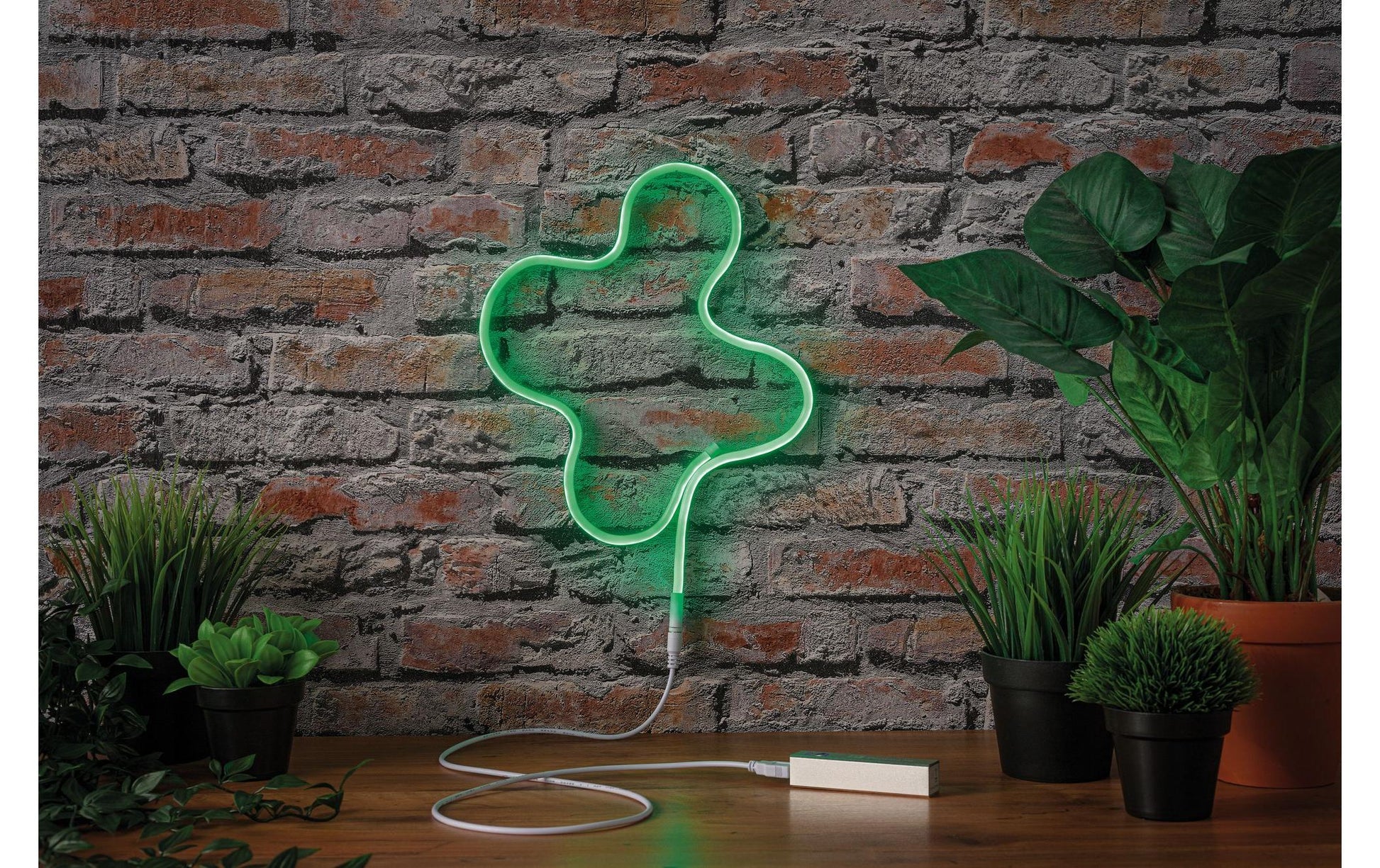 Paulmann LED-Strip Neon Colorflex – 1 m, 10 lm, 4,5 W, grün, weiss, USB