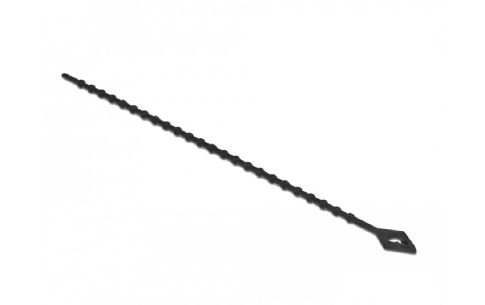 DeLOCK Kabelbinder, 2,4×200 mm, 100er-Pack, wiederverwendbar – schwarz