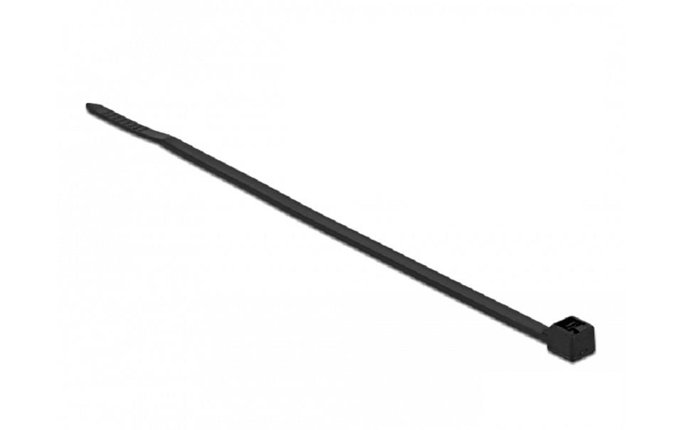 DeLOCK Kabelbinder, 100×2,5 mm, 100er-Pack – schwarz