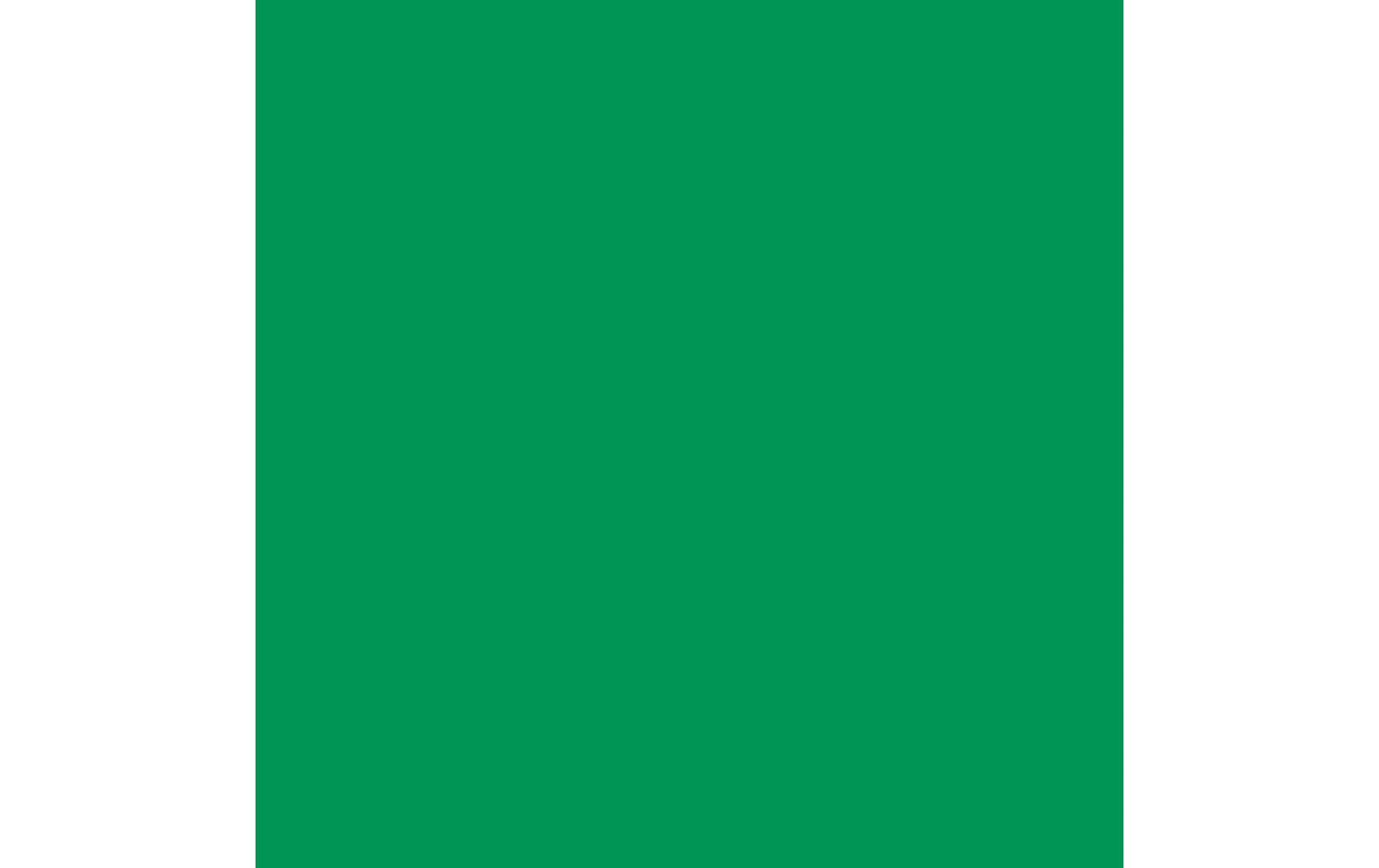 Cricut Vinylfolie – permanent – grün – 330 × 3660 mm – für Maker 3, Explore Air 3