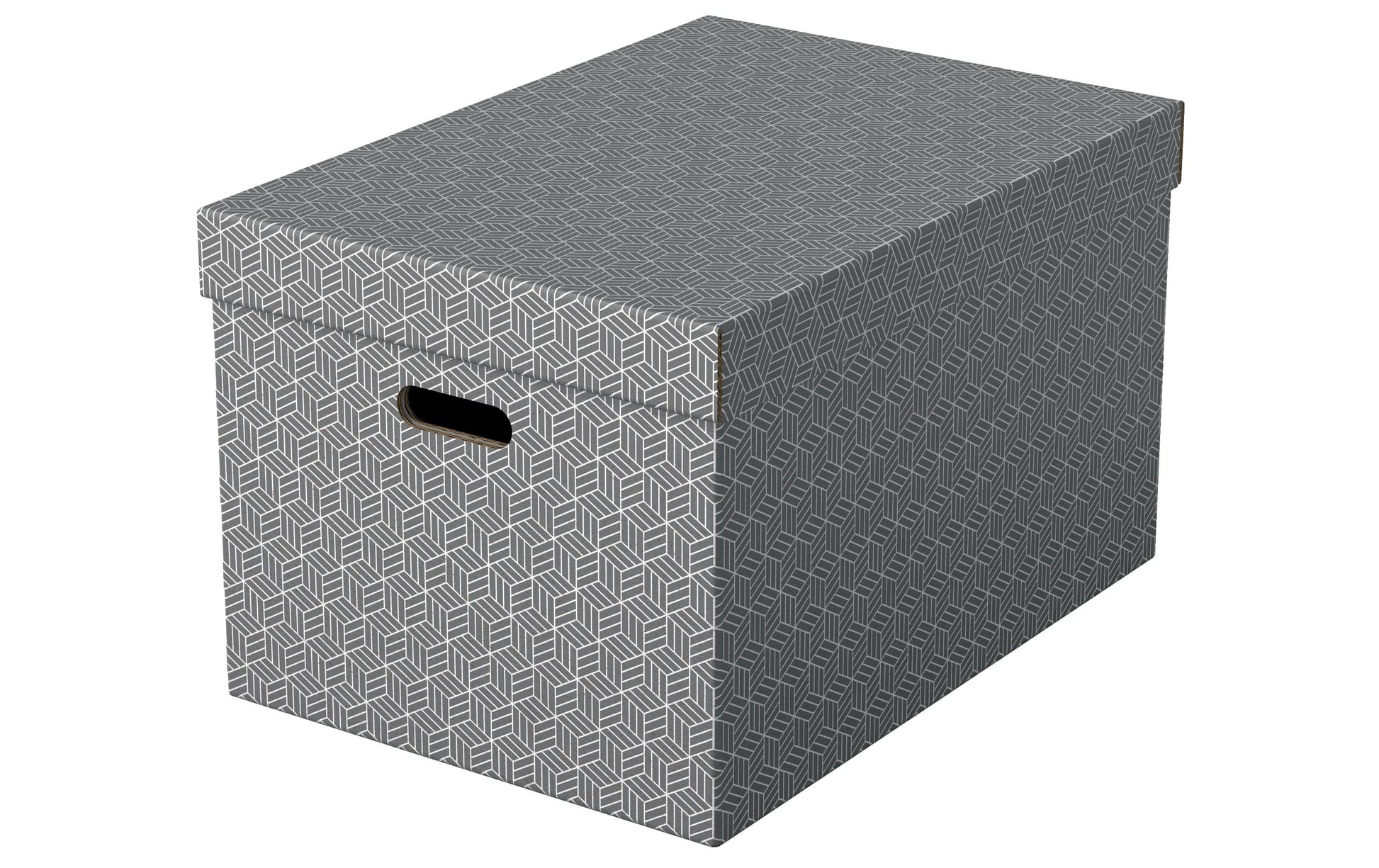 Leitz Aufbewahrungsbox 30 l – Grau, Karton, 3 Stück