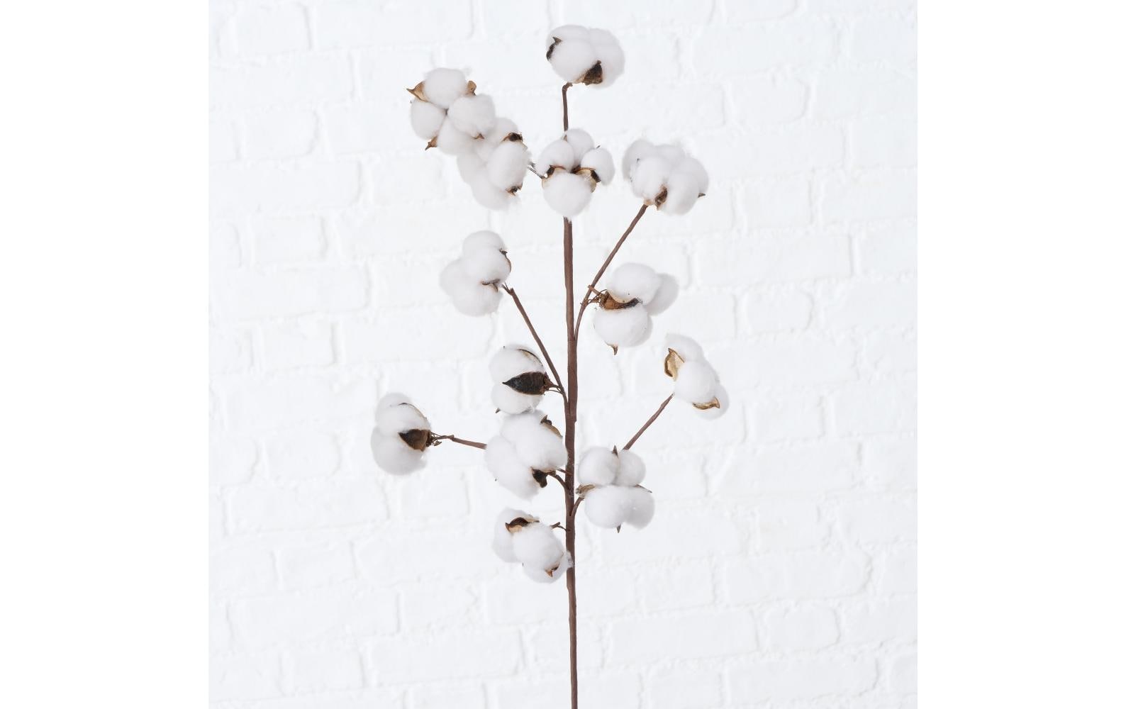 Boltze Trockenblumen – Mehrfarbig – 68 cm – 1er-Pack