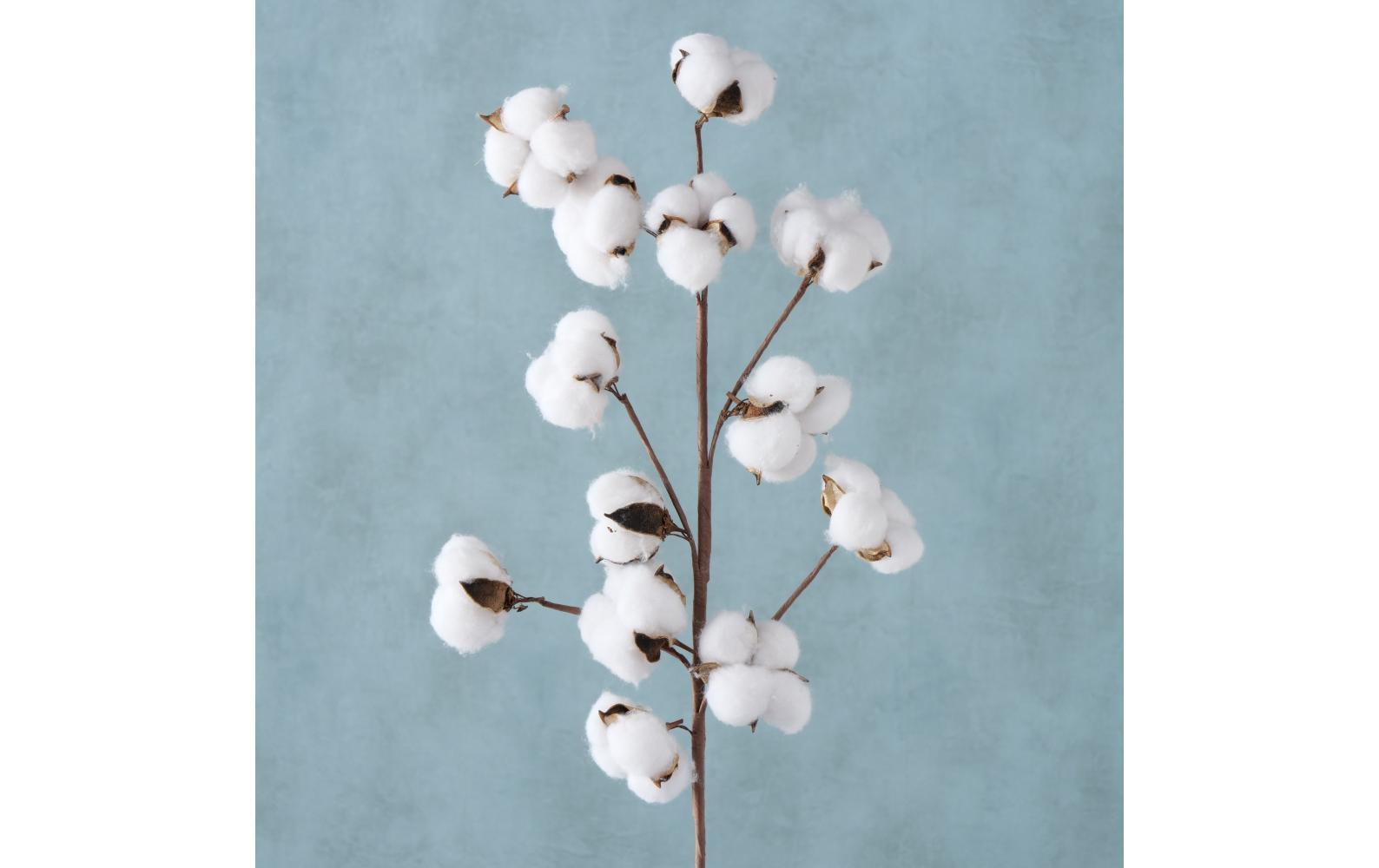 Boltze Trockenblumen – Mehrfarbig – 68 cm – 1er-Pack