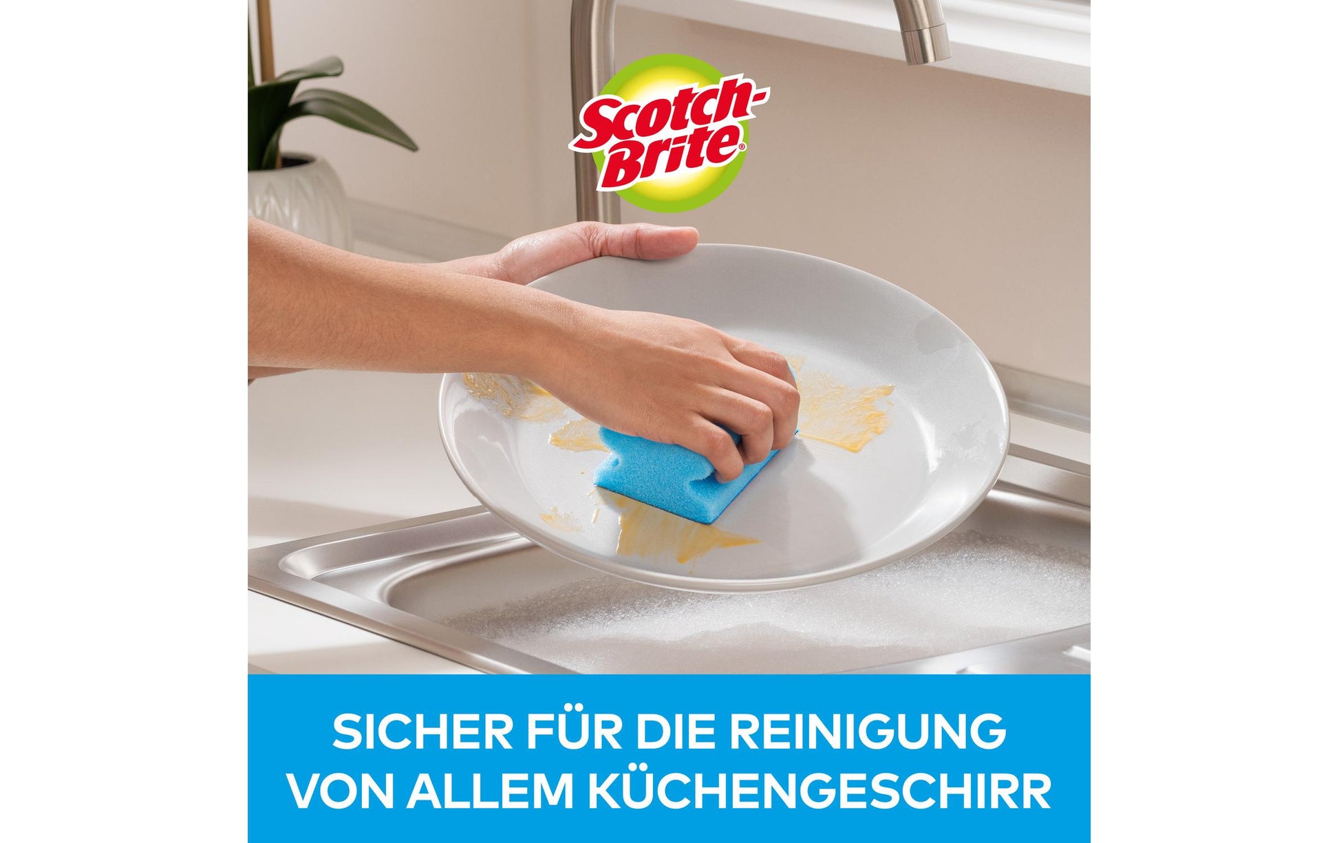 Scotch-Brite Spülschwamm Fresh – Schaumstoff, für Glas, blau, 2 Stk.
