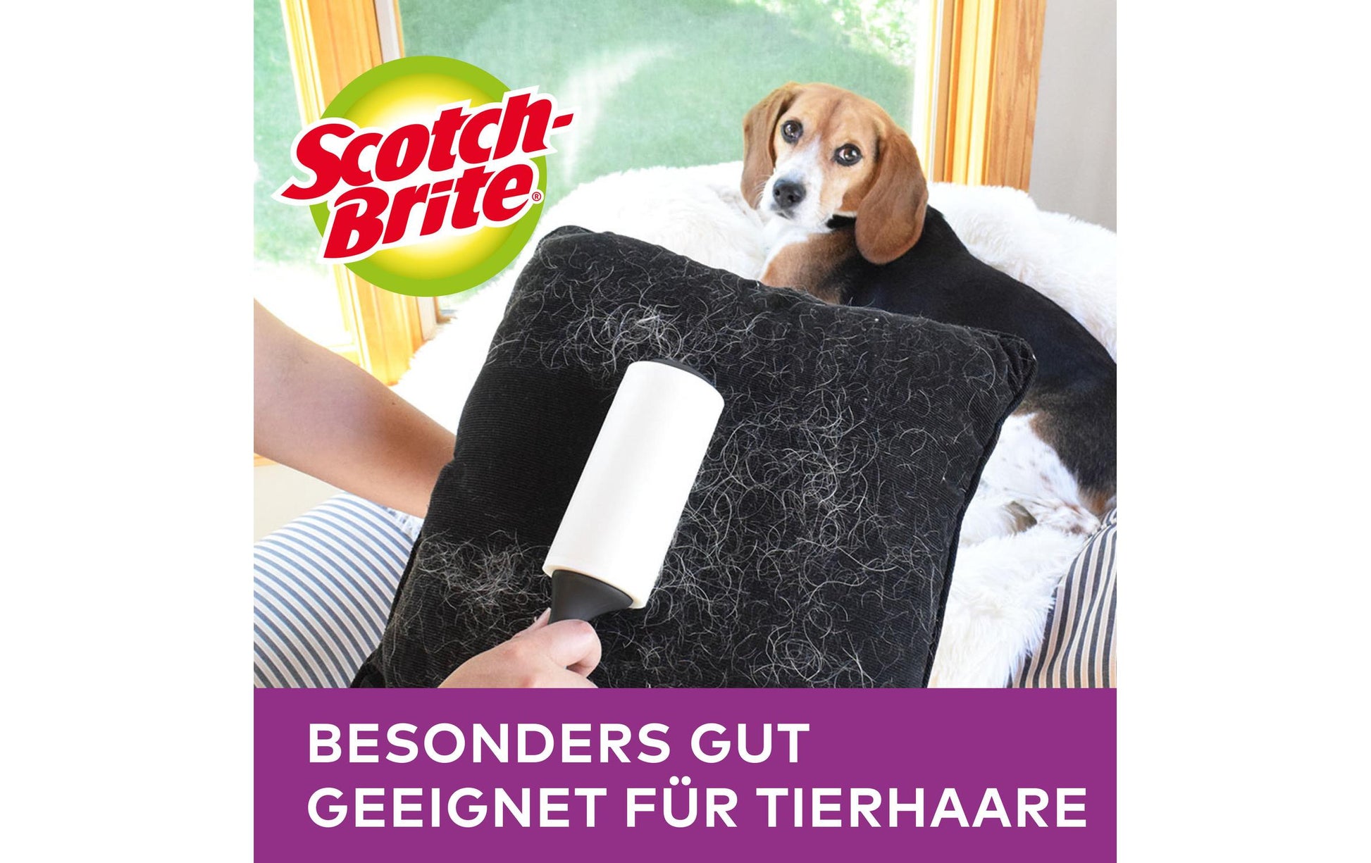 3M Scotch-Brite Fusselroller Pet Extra Sticky – 1 Roller, 4 Ersatzrollen, Kunststoff, schwarz