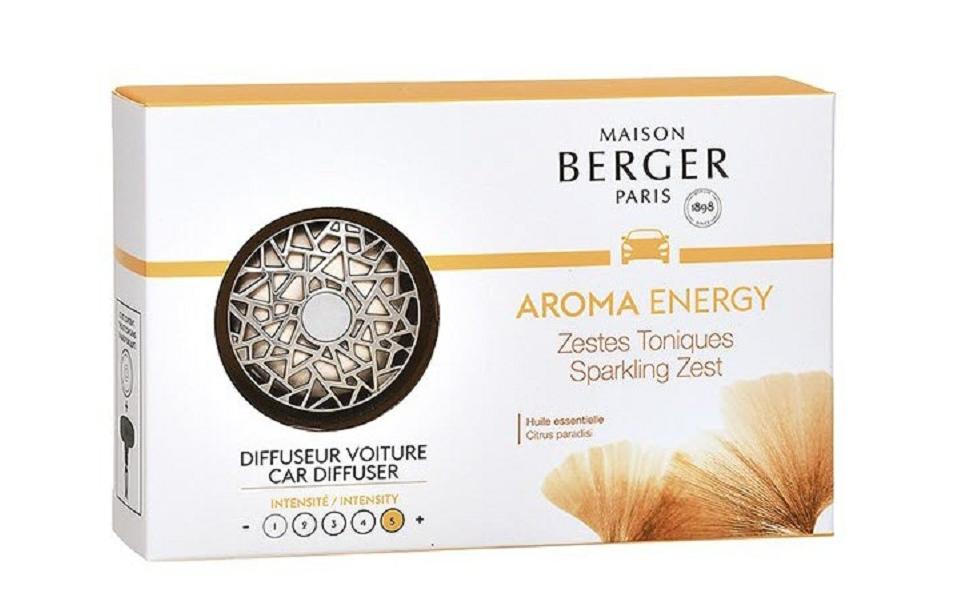 Maison Berger Paris Lufterfrischer Eiche – anklippbar – für Innenraum – Silber