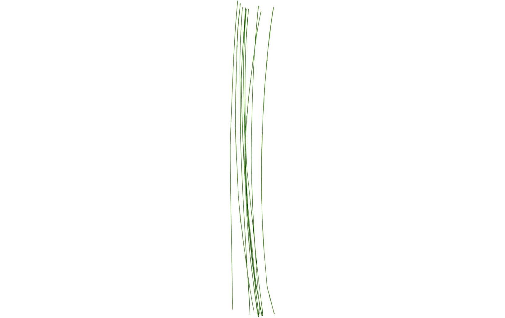 Creativ Company Blumendraht, Grün, Ø 0,6 mm × 30 cm, Set à 20
