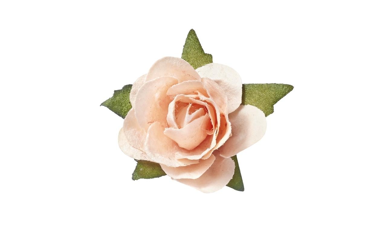 HobbyFun Streu-Rosen, apricot, Kunststoff, 20 mm, 20 Stk