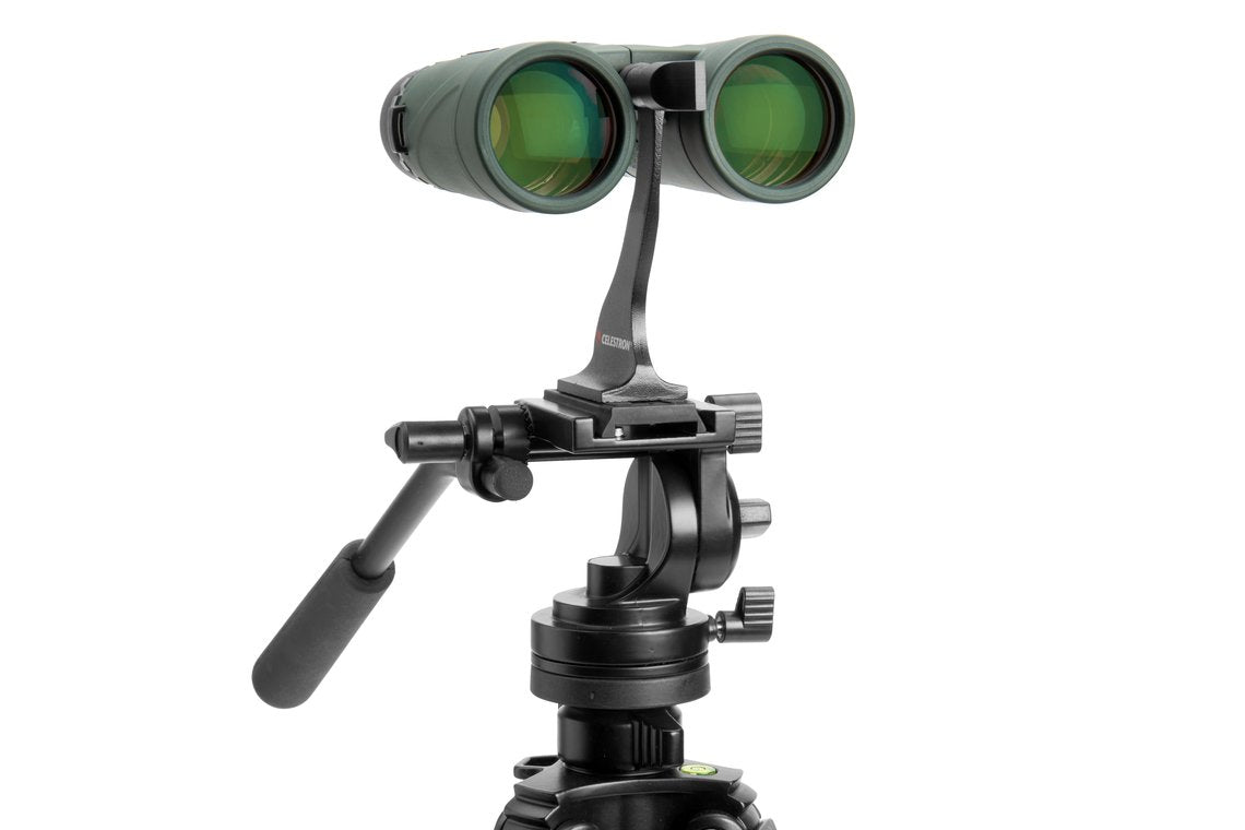 Celestron Fernglas Nature DX – 8×42 – Dachkant – Wasserdicht – Grün