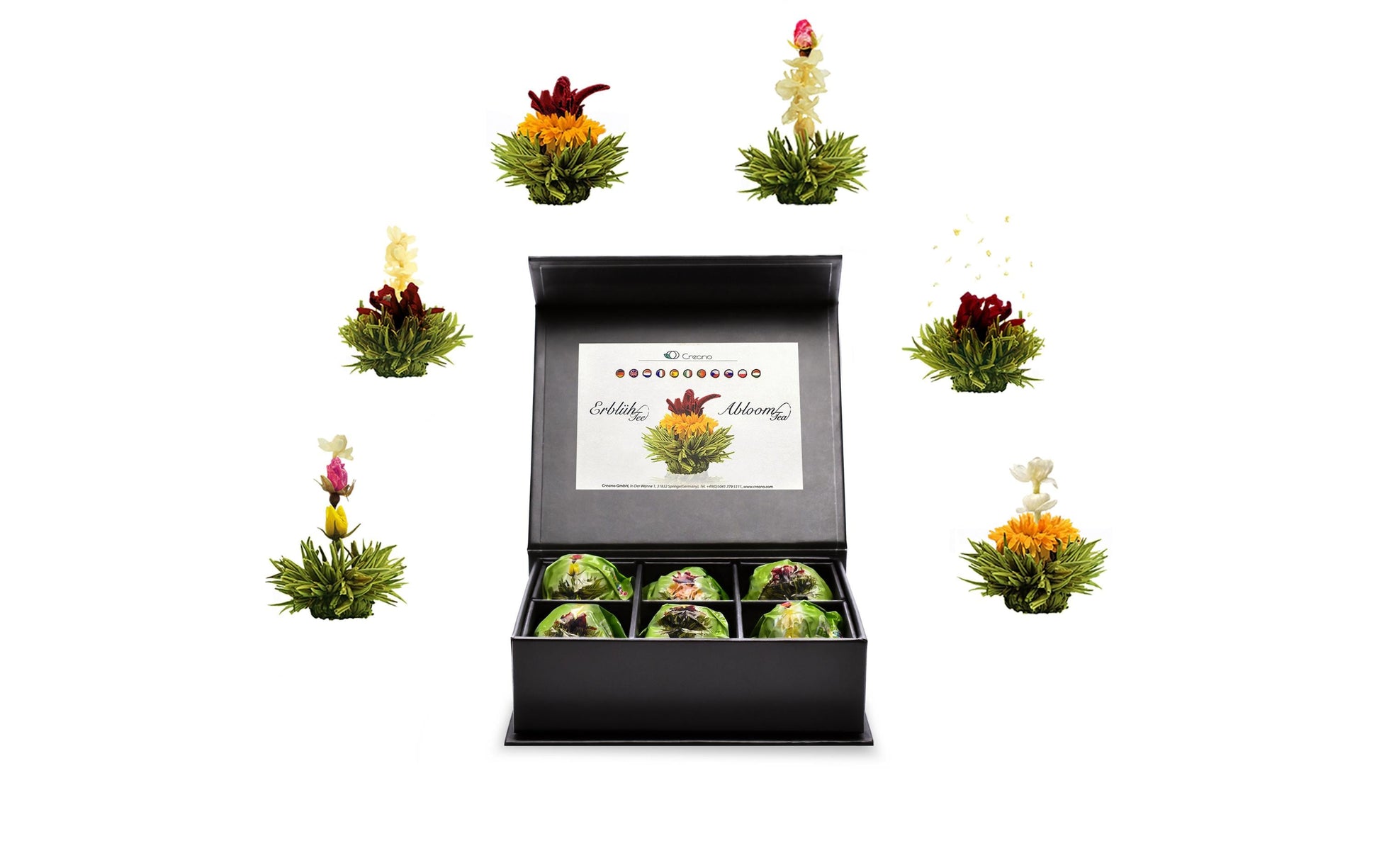 Creano Erblühtee Grüntee – 6 Teeblumen – Magnetbox