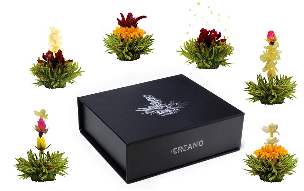 Creano Erblühtee Grüntee – 6 Teeblumen – Magnetbox