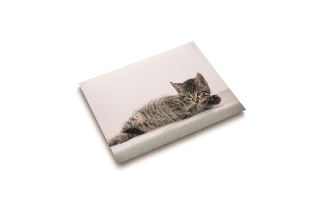 Laufer Läufer – Schreibtischunterlage – 530 × 400 mm, Kunststoff, Motiv 'Katze', mehrfarbig