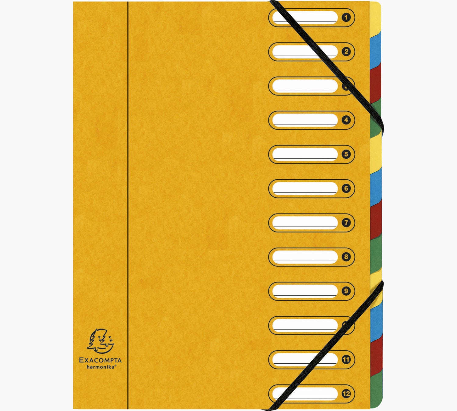 Exacompta Fächermappe Harmonika A4 – 12 Fächer, Gummiband, Karton, Mehrfarbig