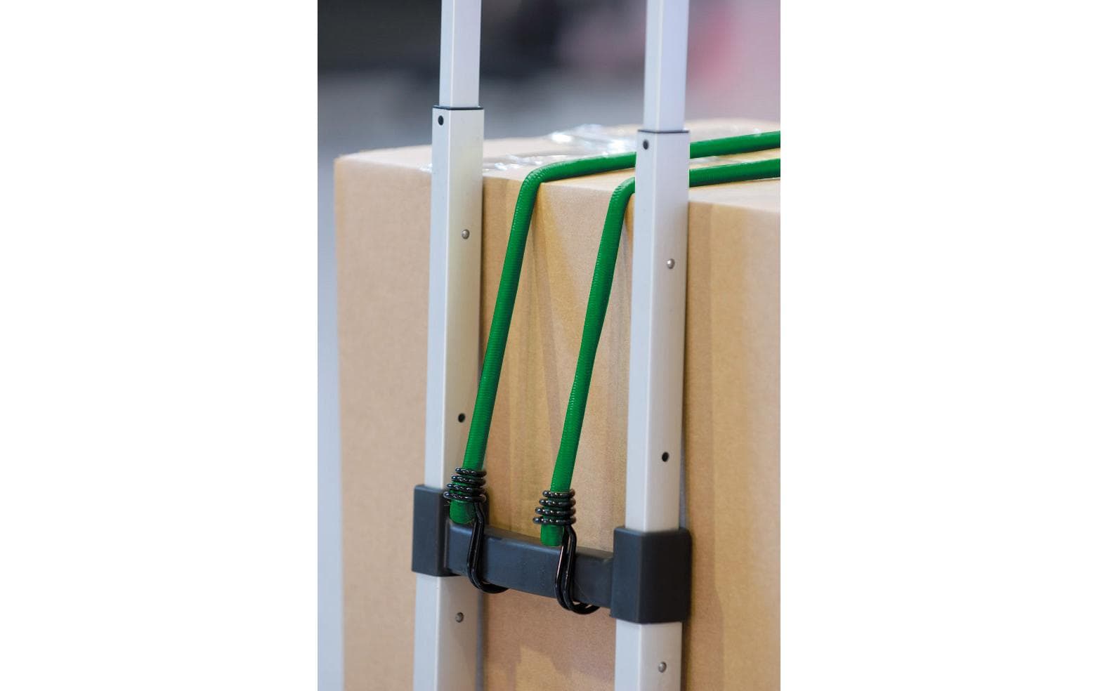 Master Lock Gummi-Spannseil – 2 × 60 cm, 2 × 80 cm, 2 × 100 cm, Ø 8 mm, 6 Stk., mehrfarbig