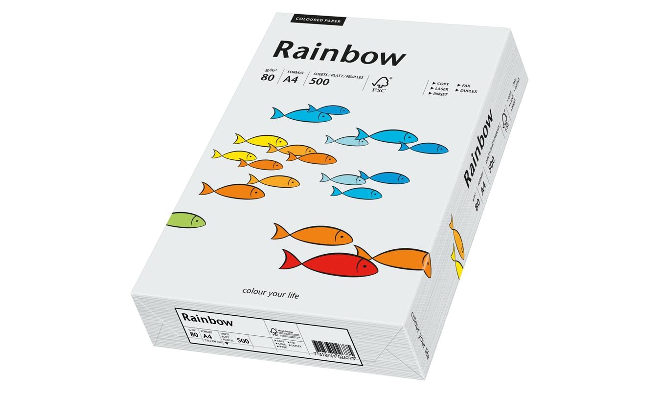 Scaldia Kopierpapier – A4, 80 g/m², Hellgrau – für Inkjet/Laser/Kopierer – FSC – 500 Blatt