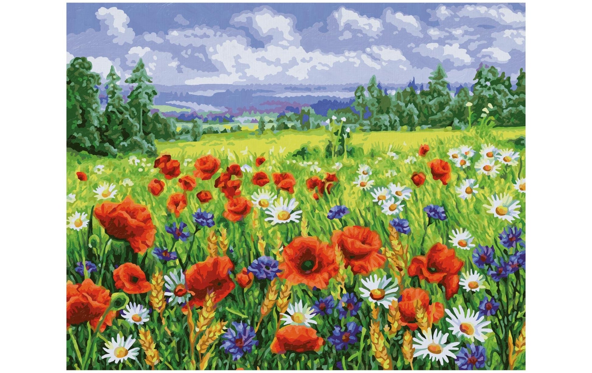 Schipper Malen-nach-Zahlen-Set – Blumenwiese – 40 × 50 cm – ab 8 Jahren