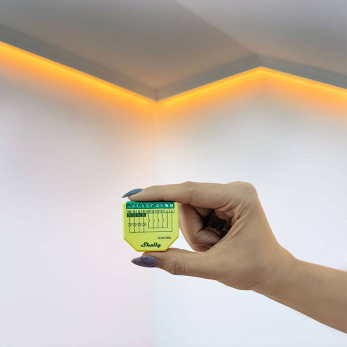 Shelly Dimmaktor Plus RGBW PM – Zubehör – Dimmaktor (RGBW), WLAN – für Amazon Alexa, Google Assistant