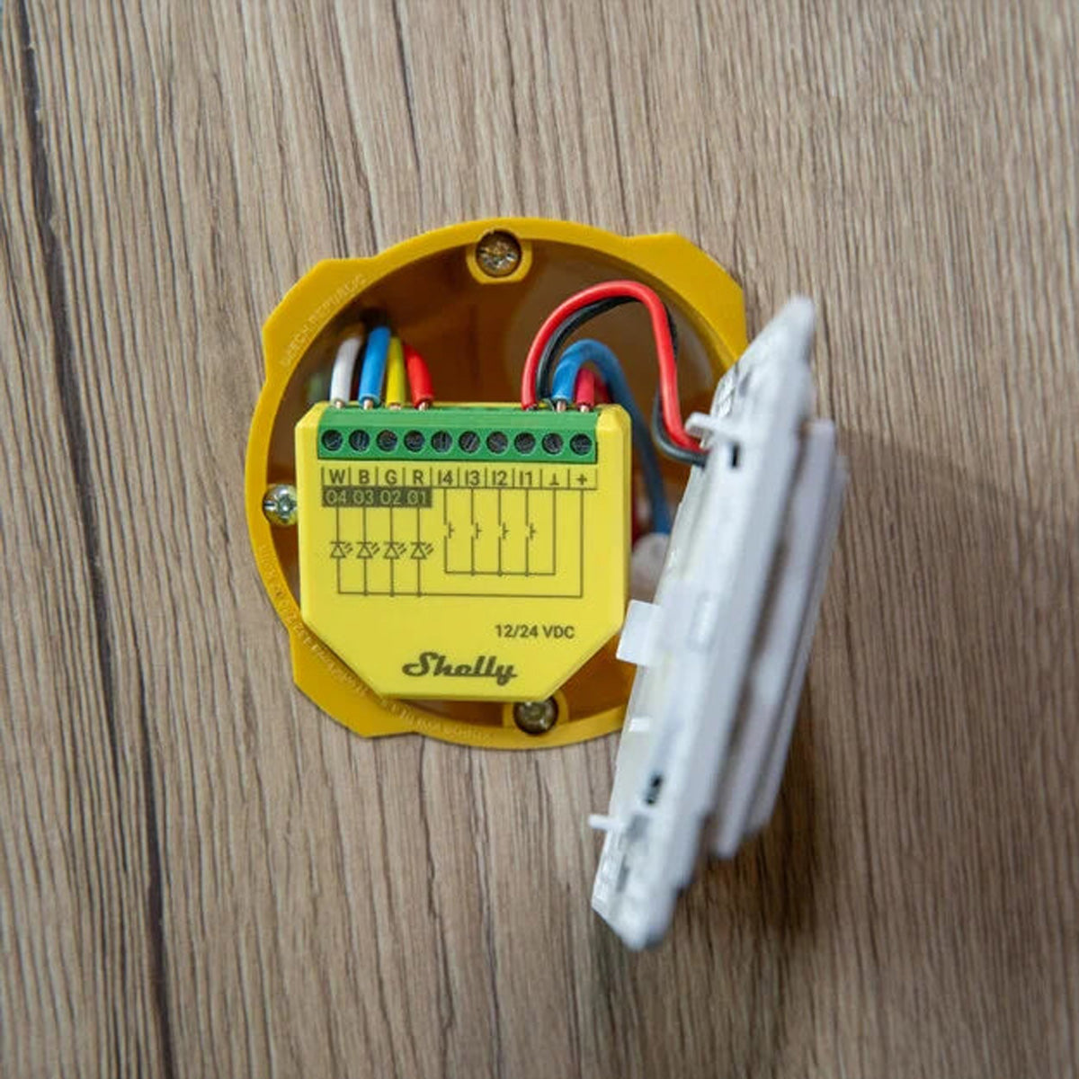 Shelly Dimmaktor Plus RGBW PM – Zubehör – Dimmaktor (RGBW), WLAN – für Amazon Alexa, Google Assistant