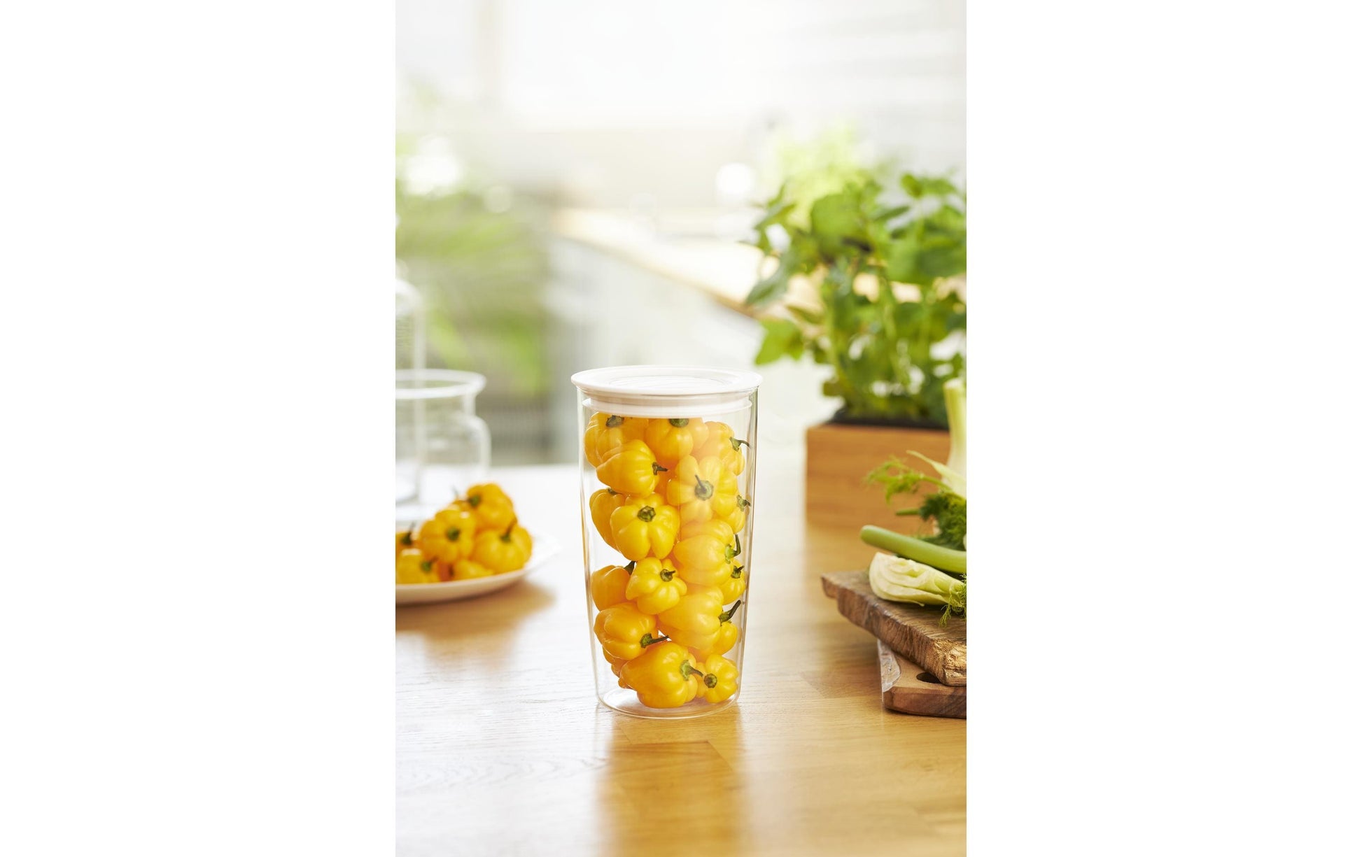 Rotho Glasbehälter Cristallo – 1,2 l – rund – Ø 11 × 19,3 cm – Borosilikatglas – transparent