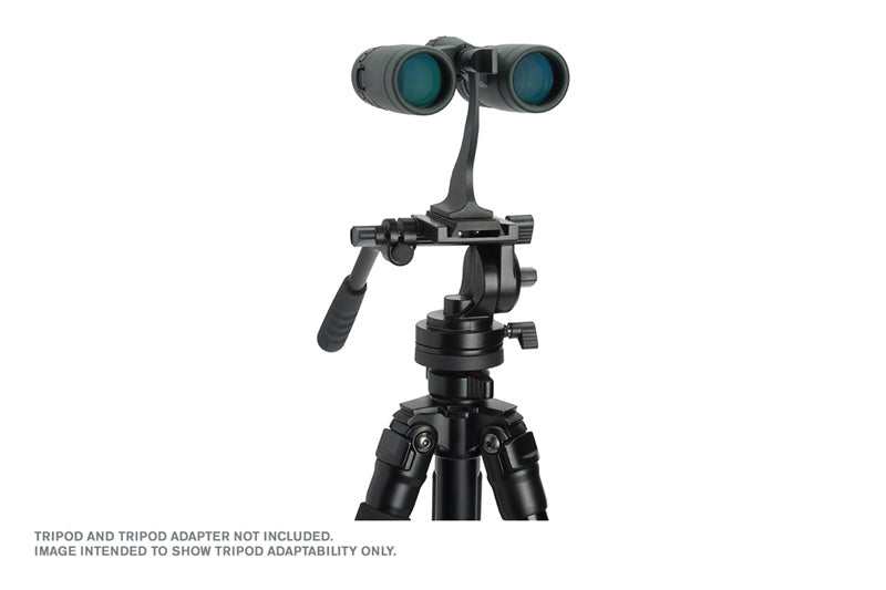 Celestron Kompaktfernglas TrailSeeker – 8×32 mm, grün