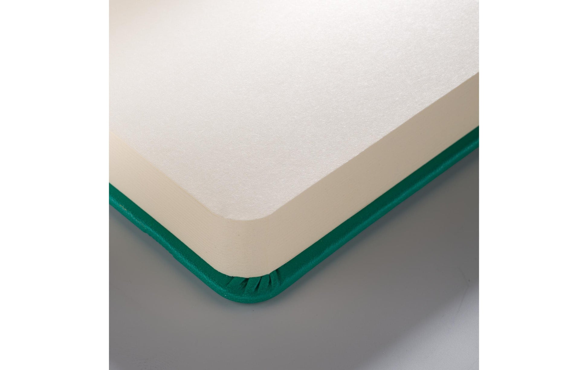 Talens Skizzenbuch – 140 g/m² – Hardcover mit Gummiband – 80 Blatt – cremefarbenes Papier – Waldgrün