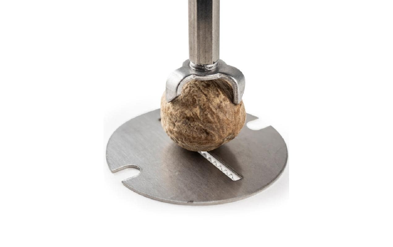 Peugeot Muskatmühle Daman – für Muskatnuss – manuell – Edelstahl, Silber – 15 cm
