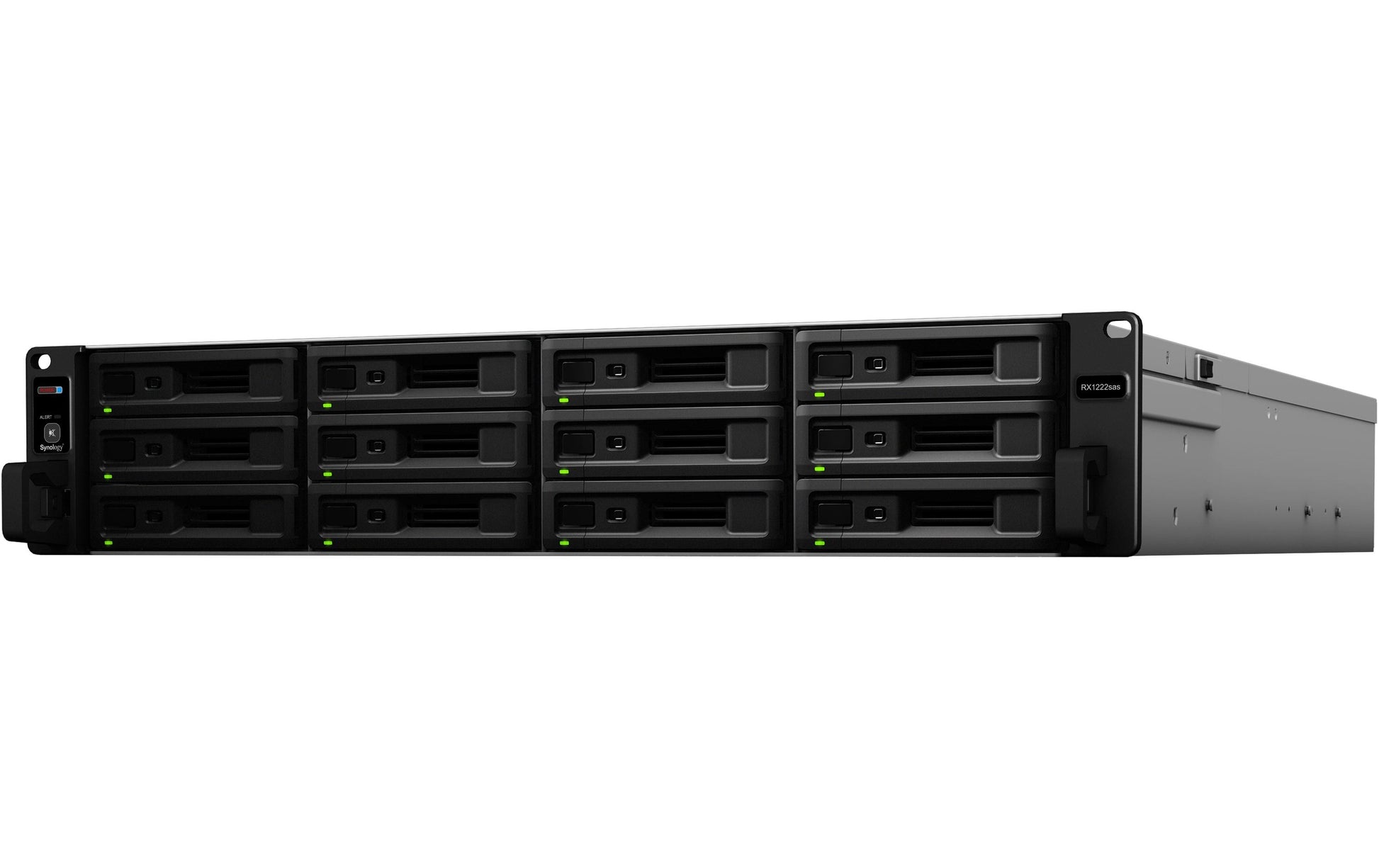 Synology RX1222sas – 12-Bay Rack 2U NAS – für 2,5"/3,5" HDD/SSD, SATA/SAS