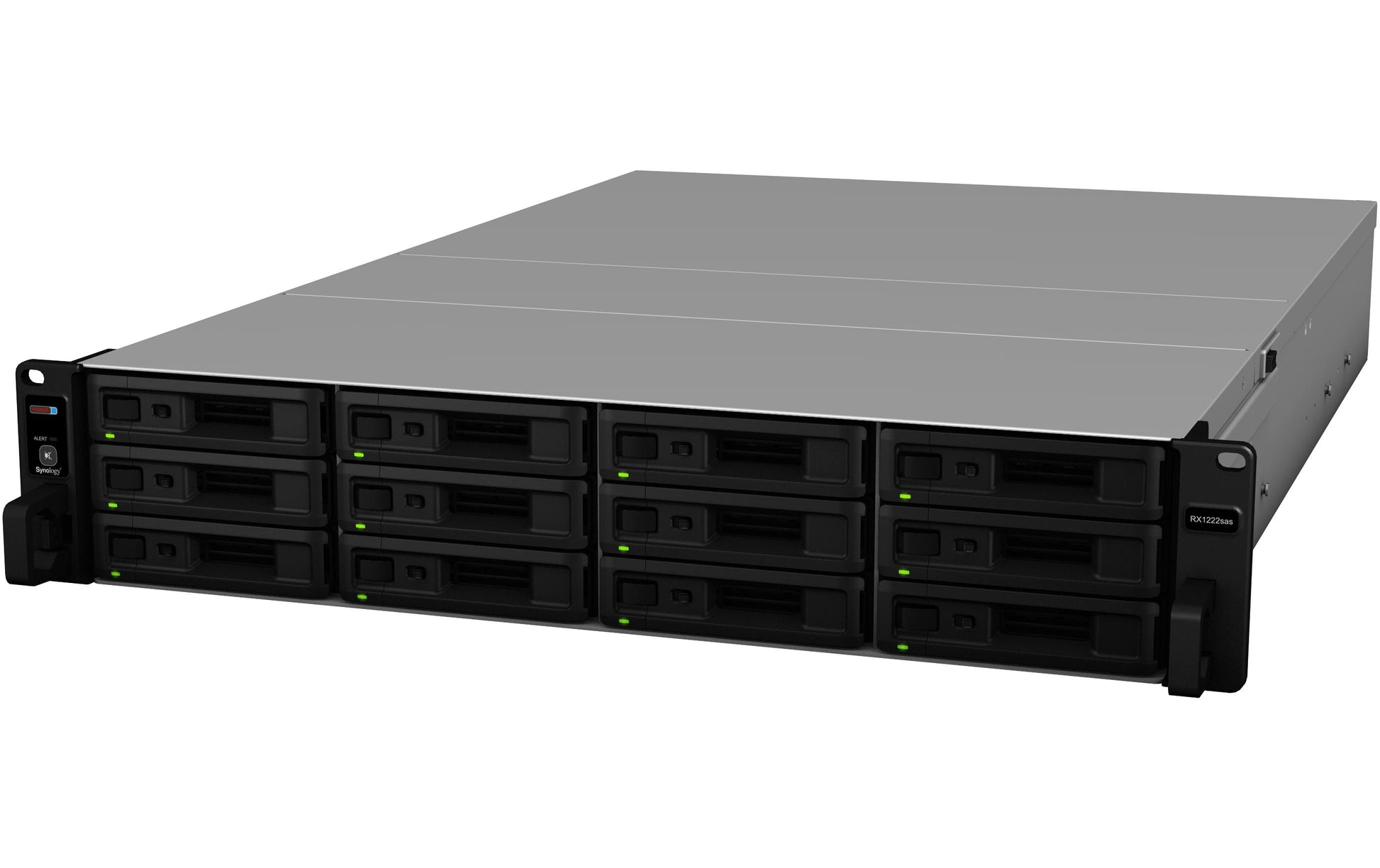 Synology RX1222sas – 12-Bay Rack 2U NAS – für 2,5"/3,5" HDD/SSD, SATA/SAS