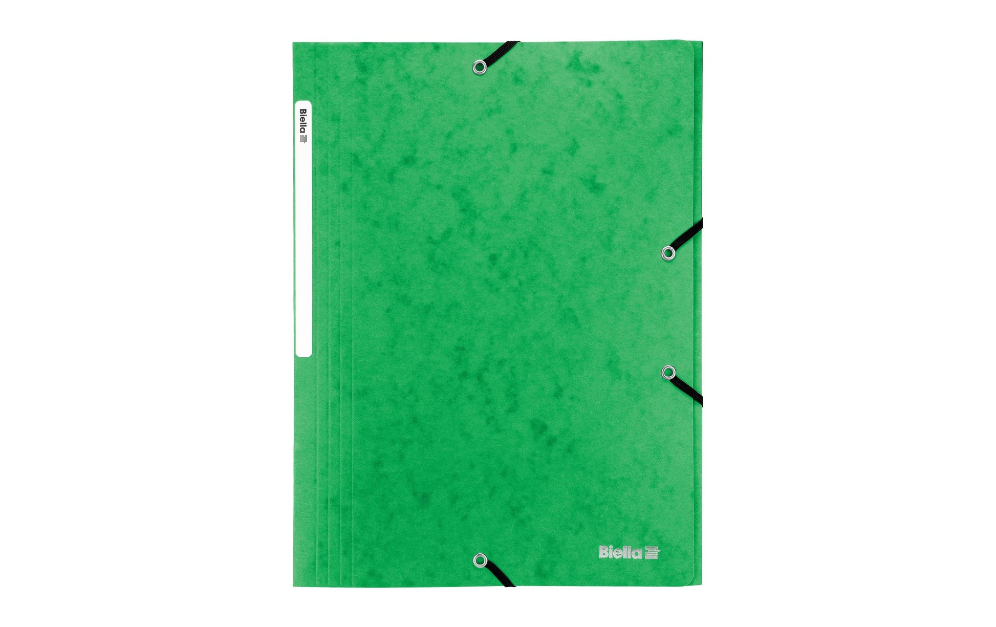 Biella Sammelmappe für A4, Karton, Grün, mit Gummizug