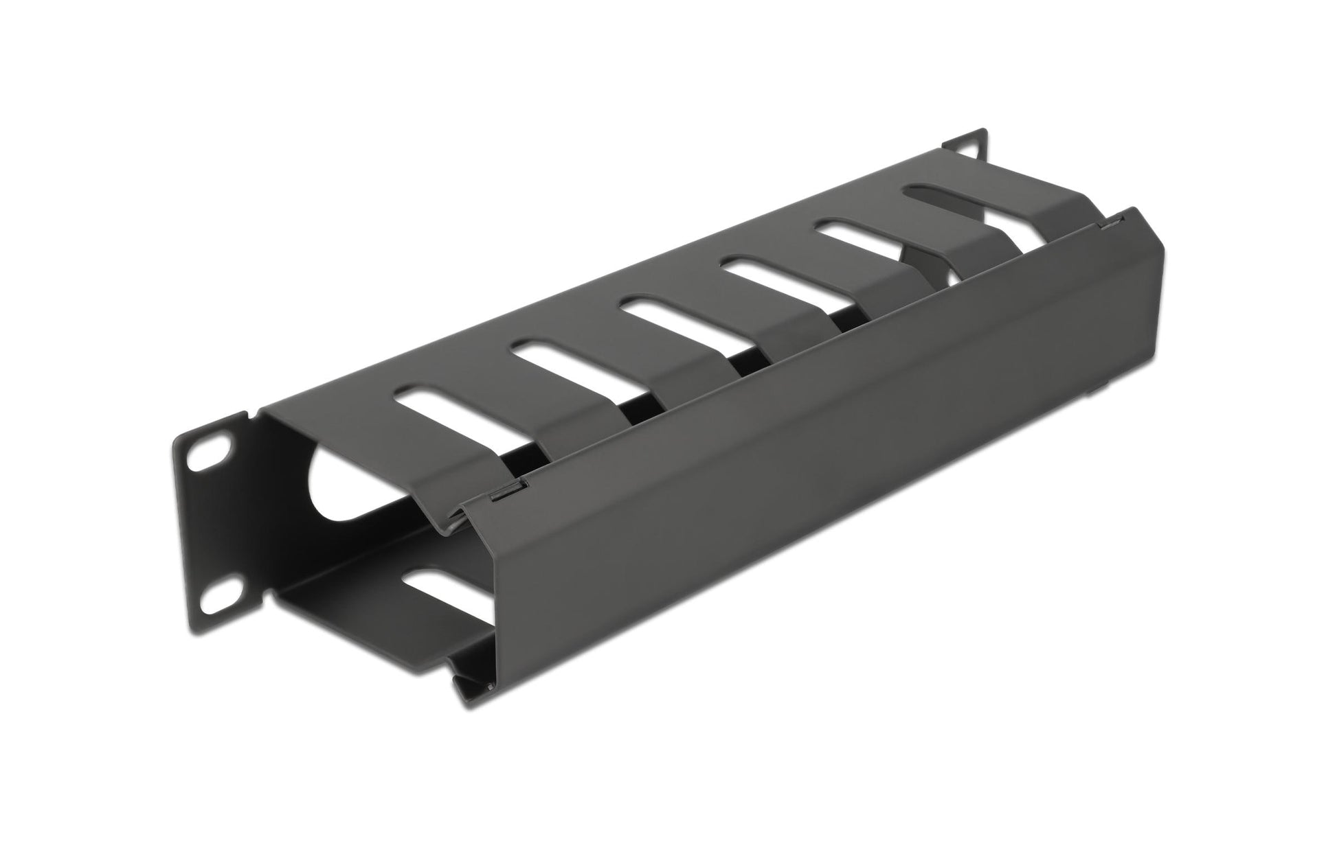 DeLOCK Rangierpanel 19" 1U, 254×70×44 mm, Metall – schwarz