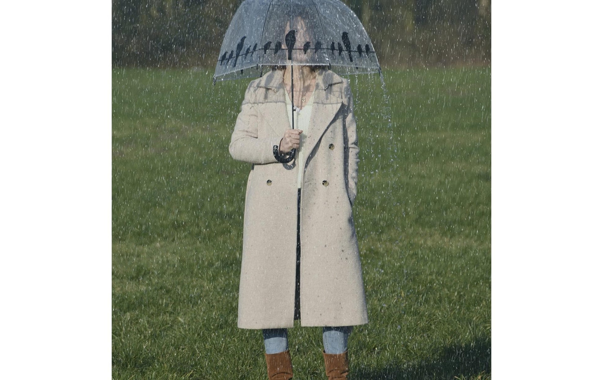 Esschert Design Stockschirm TP166 – Ø 83 cm, L 81,5 cm – transparent Vögel auf Draht