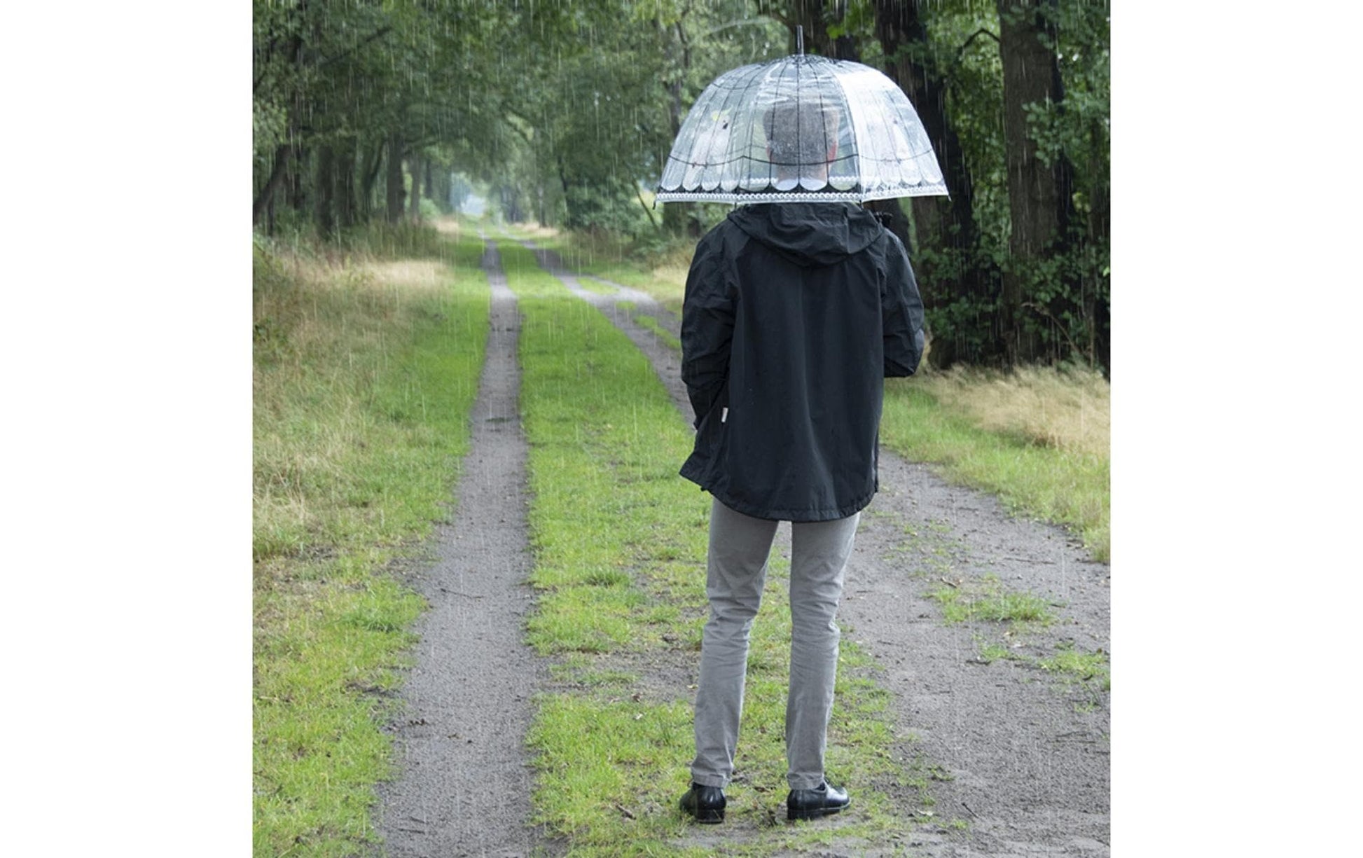 Esschert Design Stockschirm TP321 – Ø 81 cm, L 83.3 cm – Transparenter Vogelkäfig
