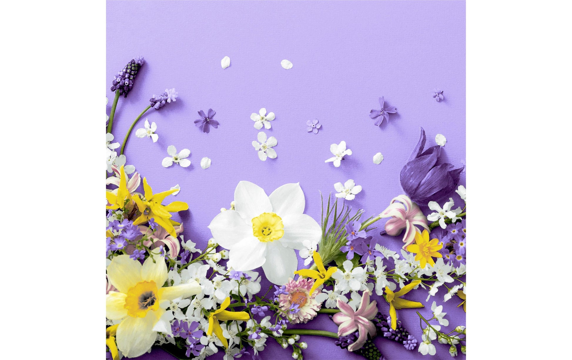 Paper + Design Servietten Soft Spring Lila – 33 × 33 cm, 3-lagig – 20 Stück