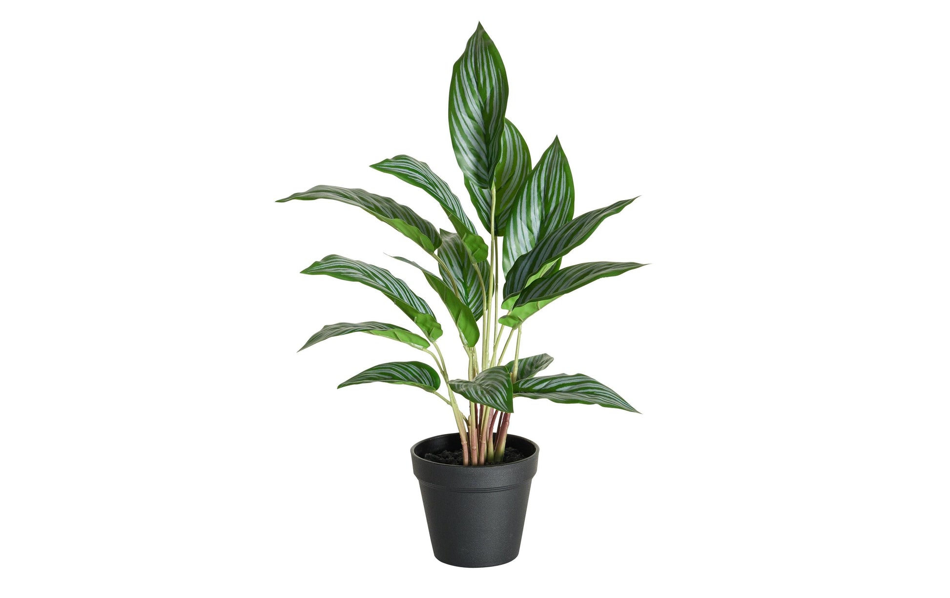 Botanic-Haus Künstliche Topfpflanze – Ø 24 × 46 cm, 6-teilig – Kunststoff, Grün