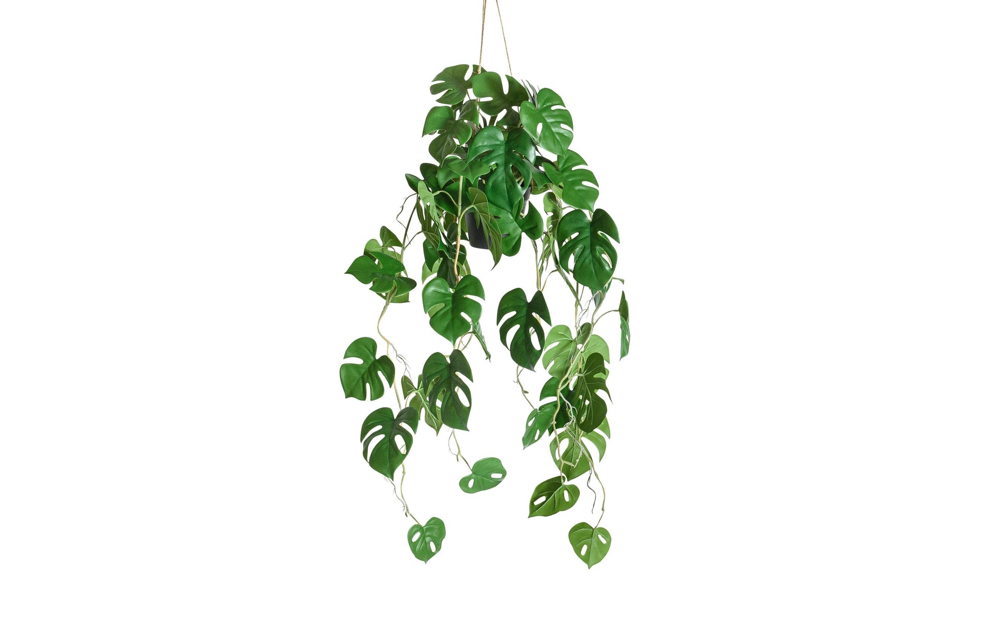 Botanic-Haus Künstliche Topfpflanze – Ø 37 × 86 cm – Kunststoff, Grün