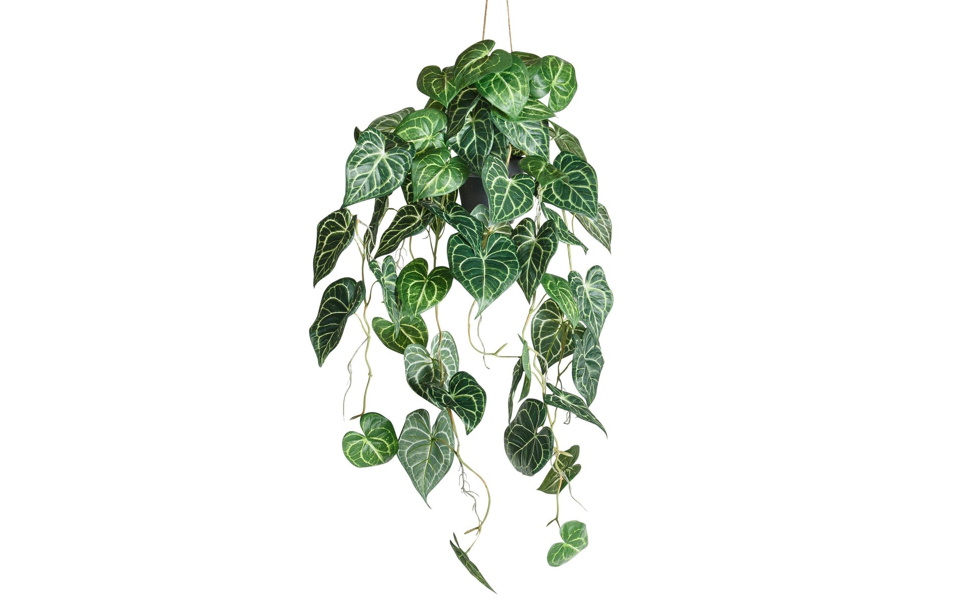 Botanic-Haus Künstliche Topfpflanze Anthurium – Ø 37 × 87 cm – Kunststoff, Grün – 6-teilig