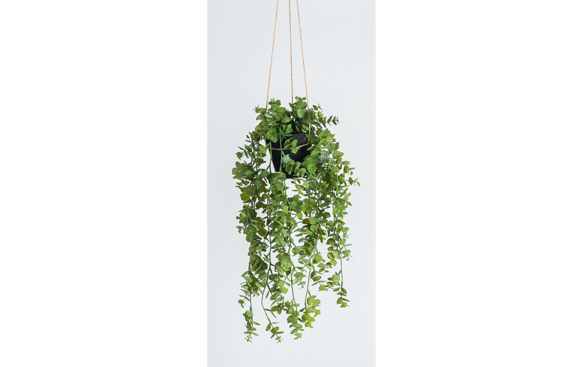 Botanic-Haus Eukalyptus Topfpflanze – 58 × 32 cm – Kunststoff, grün – 6-teilig